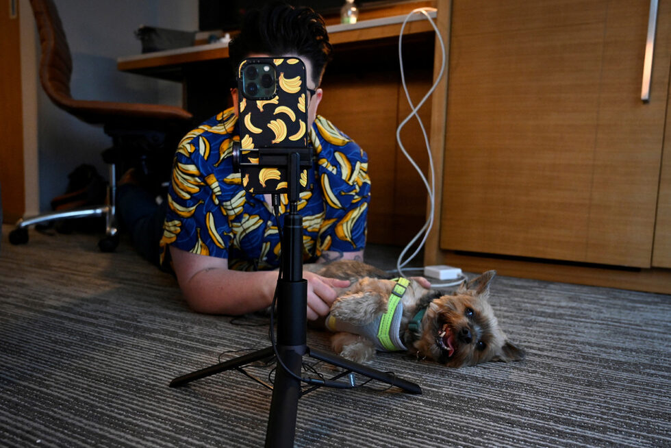 Две години по-късно профилът "Under the Desk News" в TikTok привлича близо 3 млн. последователи, които оценяват ''по-мекия'' поглед на Спехар към новините от деня. Предаването избягва истинските престъпления, като се фокусира върху теми, по които хората могат да предприемат действия. Спехар се опитва да завърши всяко видео с по-лека нотка.<br /><br />След рязкото нарастване на популярността на приложението за кратки видеоклипове в началото на пандемията, хора като Спехар се насочиха към платформата, за да обсъждат, документират и споделят случващото се по света. Много от тях наричат себе си създатели или влиятелни личности. Те не се стремят да бъдат традиционни журналисти.