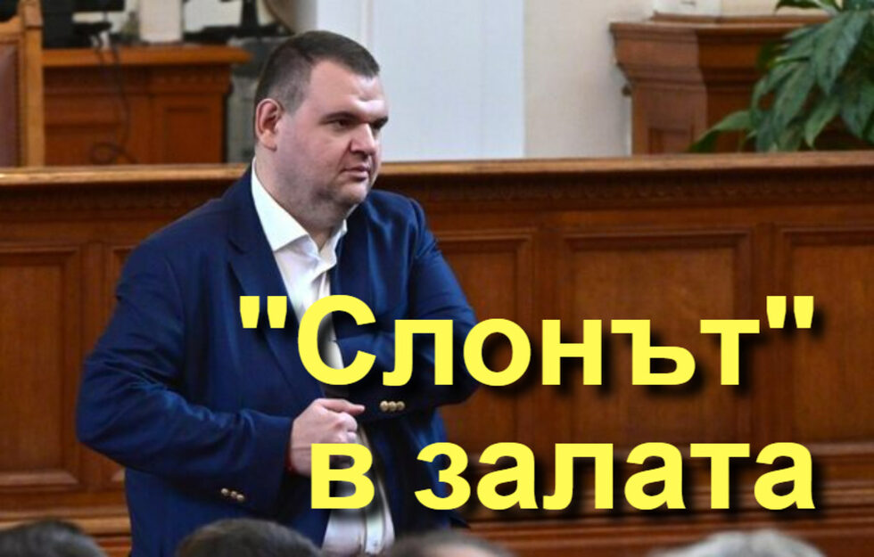 Фотогалерия: Какво е Шиши за Бойко? Талисман, и още комикси