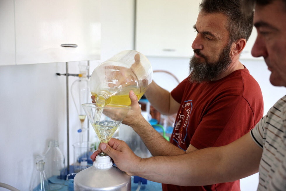 От венчелистчетата се произвеждат продукти като розова вода, сладко от рози, чай от рози и дори розова ракия.<br /><br />Качеството на венчелистчетата и маслото зависи до голяма степен от метеорологичните условия, като комбинацията от топлина и влажност е от решаващо значение, казва Тодор Николаев, главен технолог в дестилерията Terra Roza.