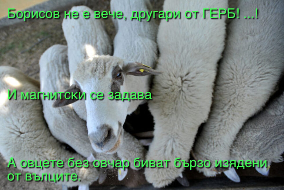 Фотогалерия: "Аз контакт с почетния деребей нямам", и още комикси
