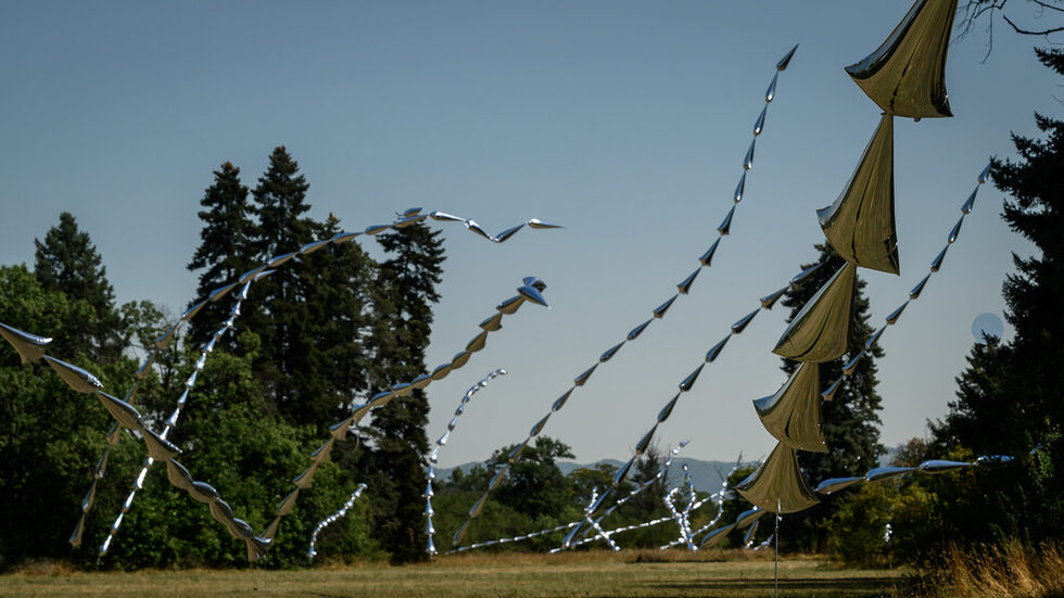 Инсталацията "Стоманена трева" (Steel grass) на световноизвестното арт студио Aérosculpture беше показана за първи път извън Франция. Това се случи на четвъртото издание на фестивала Sofia Lights в парк-музей "Врана". Минималистична и монументална, тя се състои от стотици "стръкове трева", които си играят с естествената светлина и вятъра, създавайки визуално и емоционално преживяване.
