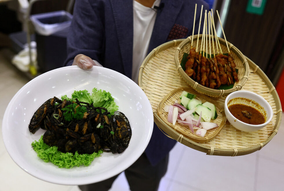 В сингапурския ресторант House of Seafood кърито от рибена глава се сервира с хрупкави щурци, от тофуто пълзят буболечки, а посетителите не могат да му се наситят.<br /><br />Крайбрежният ресторант е първото заведение за хранене, което включва насекоми в менюто си, след като този месец строгият орган по храните в града одобри за консумация от хора 16 вида, вариращи от щурци до скакалци, личинки и брашнени червеи, след двегодишно обсъждане.<br />