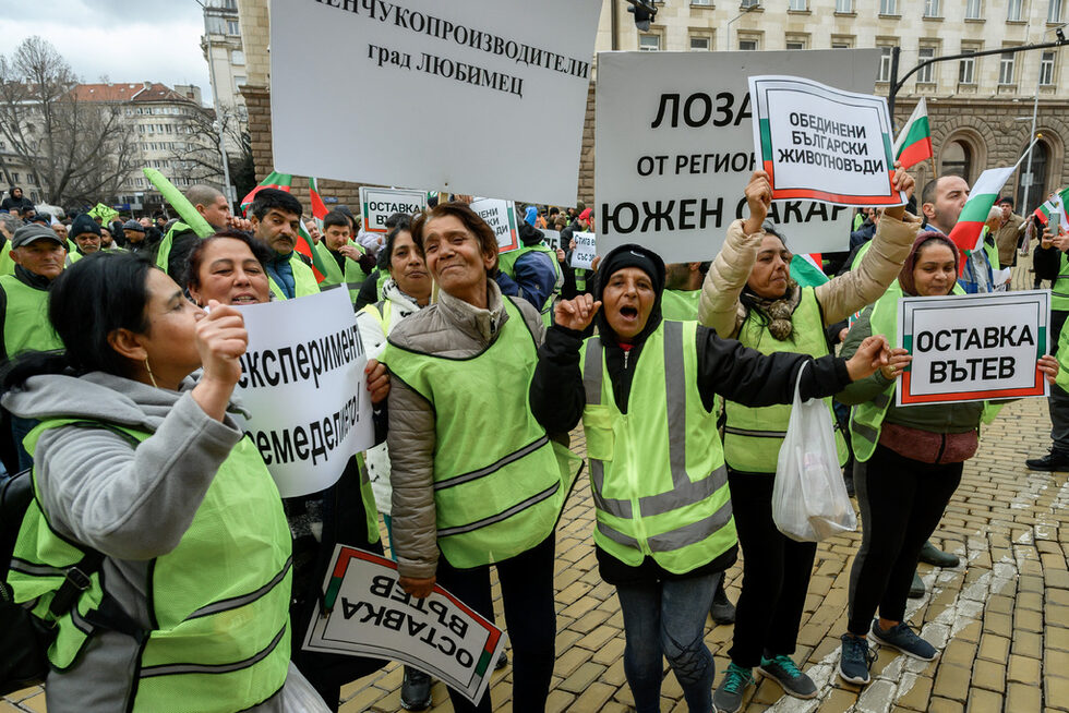 През февруари земеделци от сектор "Зърнопроизводство" протестираха пред Министерски съвет срещу предложената от правителството методика на подпомагане и поискаха оставката на министъра на земеделието Кирил Вътев. <br />За <a href="https://www.dnevnik.bg/bulgaria/2024/02/13/4587828_zemedelskiiat_ministur_postigna_sporazumenie_s_chast/" target="_blank">няколко дни</a> бе постигната договореност между държавата и сектора, но 26 браншови организации продължиха с протестите.