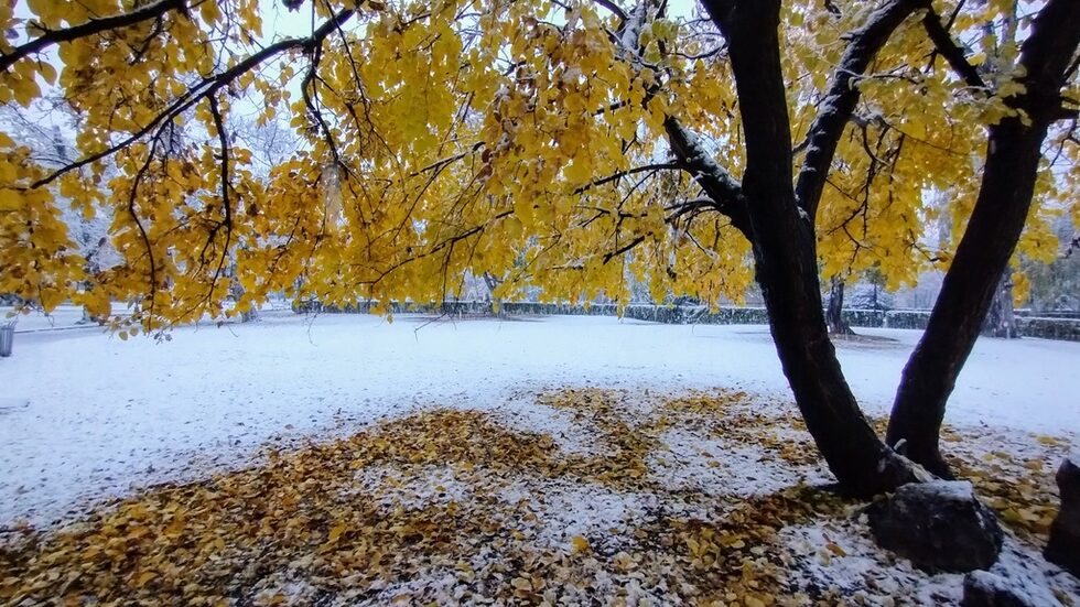 На 12 ноември <a href="https://www.dnevnik.bg/gradska_sreda/2024/11/12/4701664_fotogaleriia_purviiat_sniag_v_sofiia/" target="_blank">заваля</a> първият сняг в София.