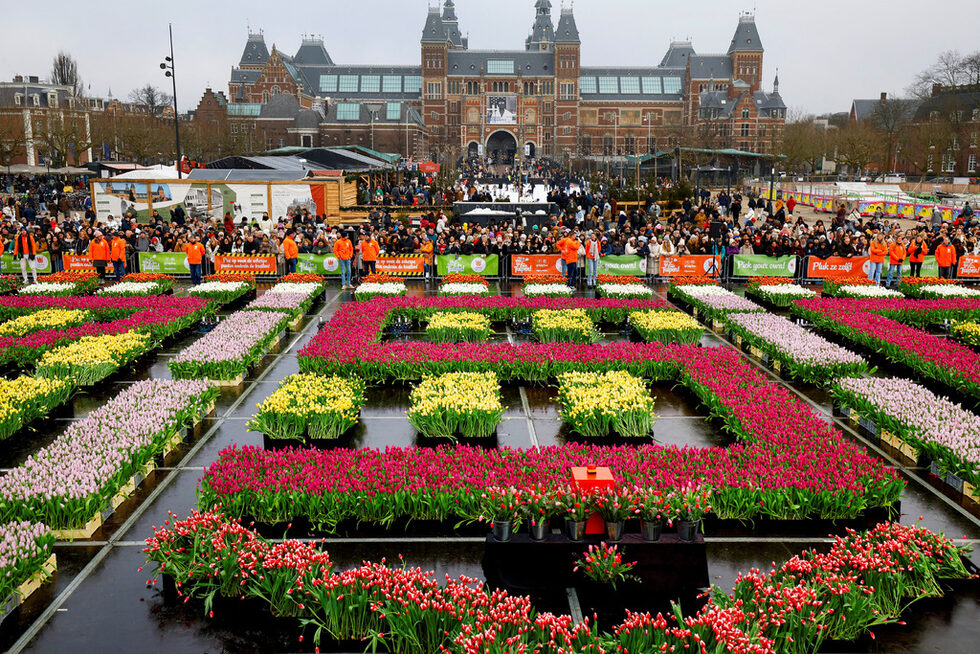 Градината е разположена край Museumplein в Амстердам.