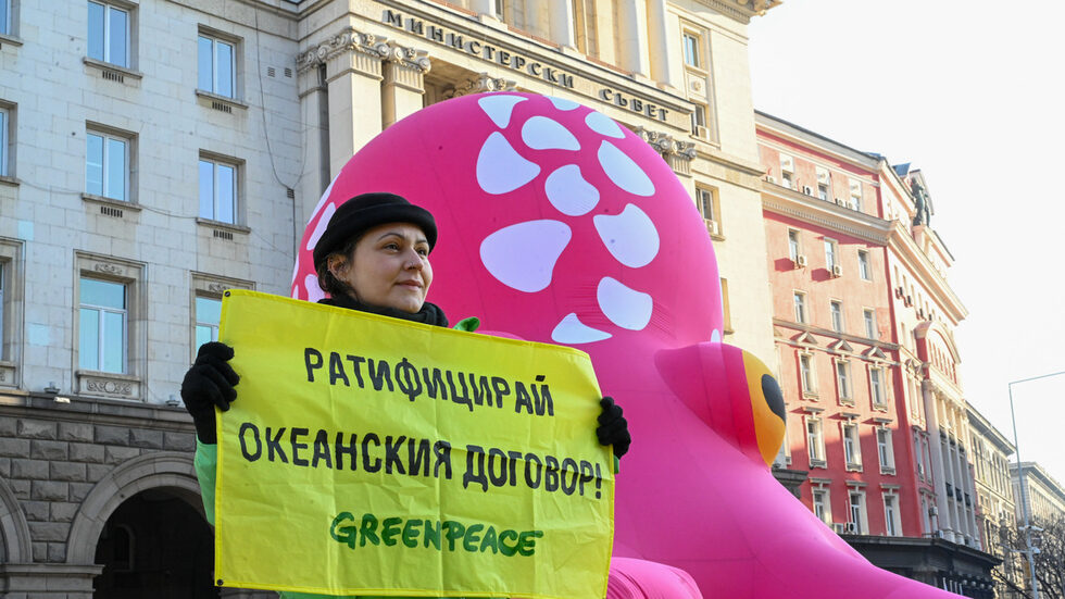 Споразумението засяга защитата на откритите води извън националните граници. Това е първата в историята ясна рамка за обявяване на защитени зони в океаните, както и за оценяване на въздействието на човешките дейности върху живота там