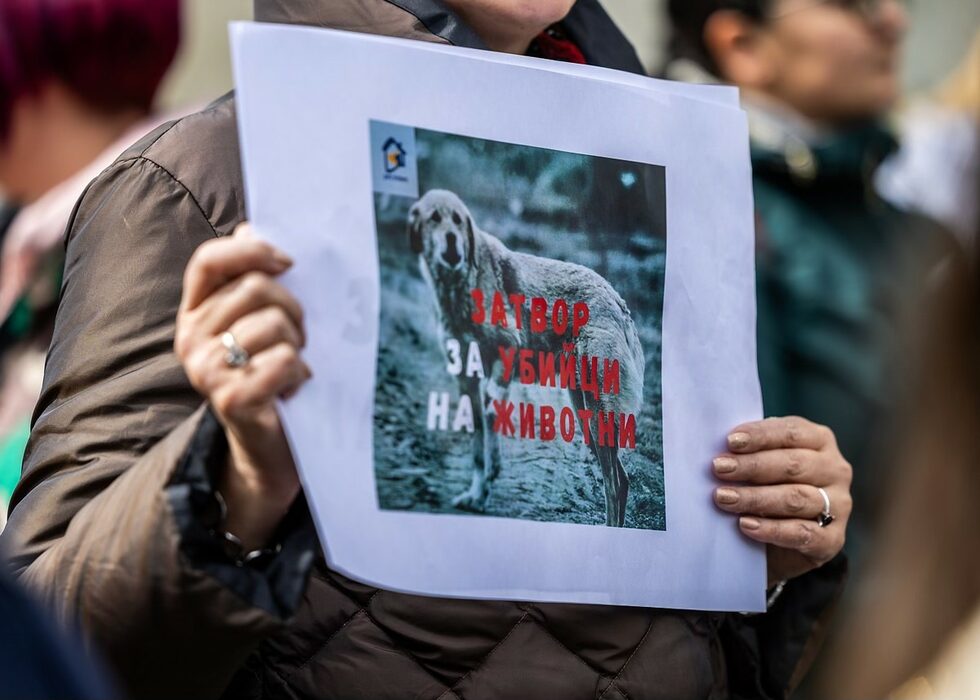 Ловци на Души: Вълна от Убийства на Домашни Любимци Втрещи Русенския Регион