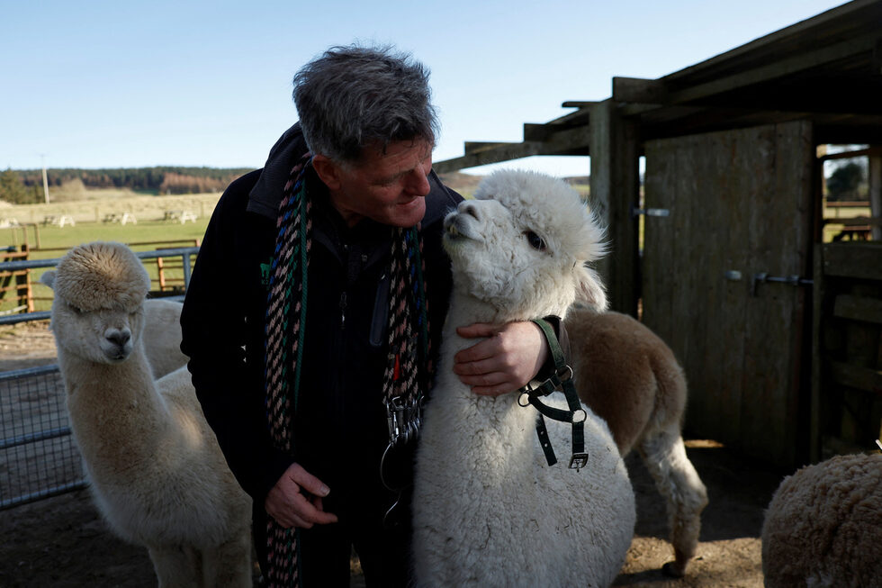"Те могат да ги почувстват. Гледат в големите им, огромни кафяви очи, които, знаете ли, просто са толкова релаксиращи. И може да чуят какви звуци издават", казва Фелан.<br /><br />"Работим с местните училища с техните класове за деца със специални нужди и учителите ни казват, че въздействието върху децата е наистина положително."