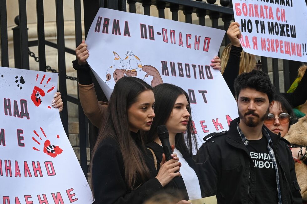 Фотогалерия: Хиляди излязоха на протест срещу насилието над животни