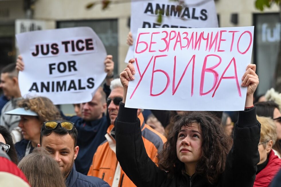 Фотогалерия: Хиляди излязоха на протест срещу насилието над животни