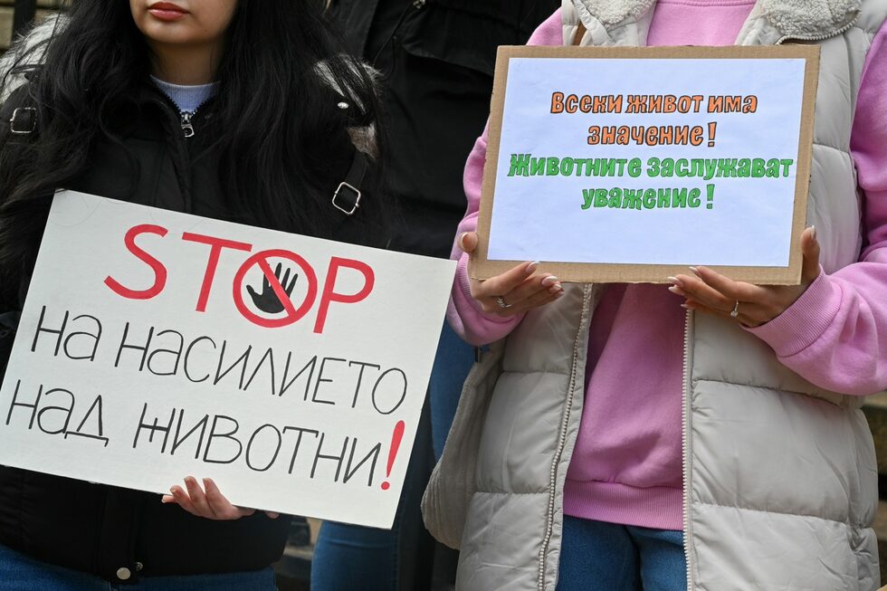 Фотогалерия: Хиляди излязоха на протест срещу насилието над животни