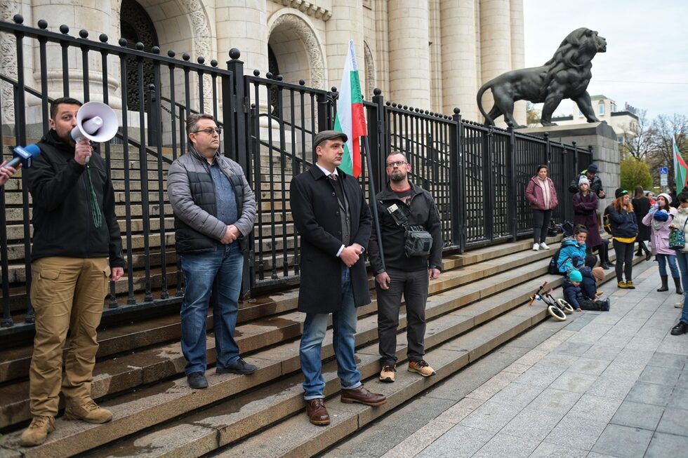 Един от организаторите на протеста Георги Драганов каза пред протестиращите, цитиран от БТА, че един от проблемите е, че законите са прекалено меки към насилниците на деца и към педофилите. Другият е, че България няма публичен регистър на педофилите. Те излежават присъдите си, след което потъват в неизвестността.