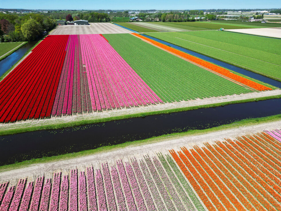 Един такъв маршрут е Tulip Route, който е 15 километра и минава покрай Keukenhof и други интересни места в Лисе.