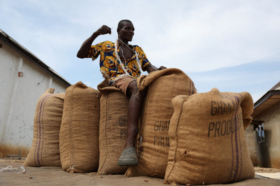 От Cocoa Research Institute of Nigeria (CRIN) съобщават, че досега през тази година са получили над половин милион заявки за нов какаов разсад, достатъчни за покриване на 400 000 хектара земеделска земя, което е три пъти повече от търсенето през същия период на миналата година.<br />