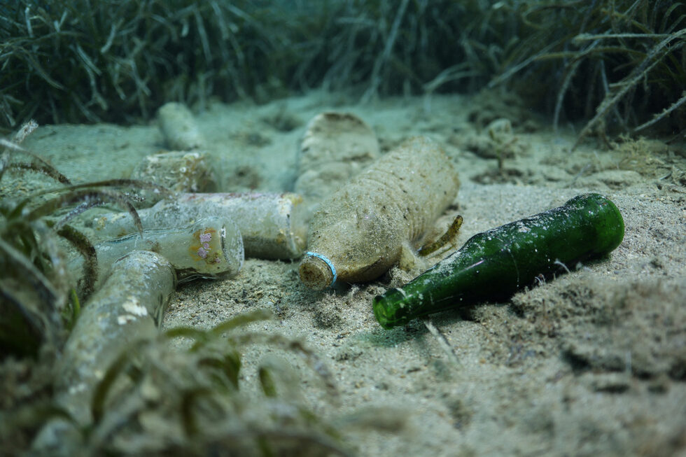 Фотогалерия: Морското дъно на Алонисос под заплаха от замърсяване