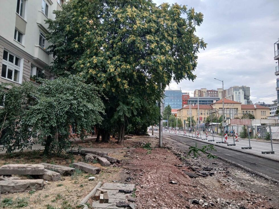 Тези дървета бяха премахнати миналото лято. Хората настояваха проектът да се съобрази с тях и да ги опази. "Няма начин", оправдаха се от общината, защото "Опълченска" е част от първия вътрешен градски ринг. Това градоустройствено решение е прието преди десетина години и тогава е можело да да се оспорва.<br /><br />Целта на разширението е да поема трафика при задръствания в центъра.