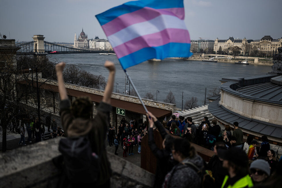 Историята на Лау и Виви, както и на мнозина други, е силно напомняне за това колко е важно да се борим за правата и свободата на всеки човек.