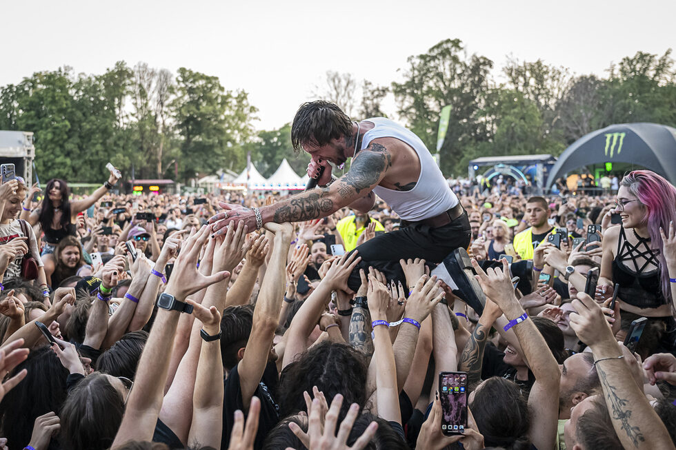 While She Sleeps