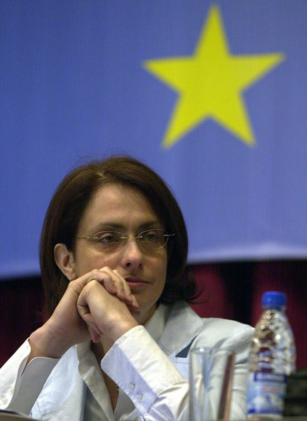 От 1999г. до 2006г. надежда Михайлова беше вицепрезидент на Европейската народна партия