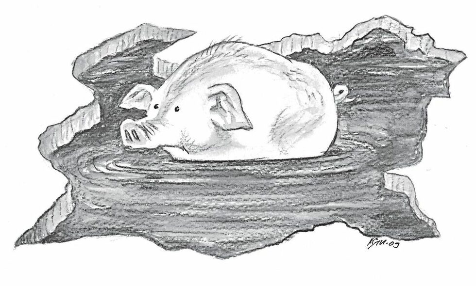 Карикатурите на Кути - все така (уви!) актуални